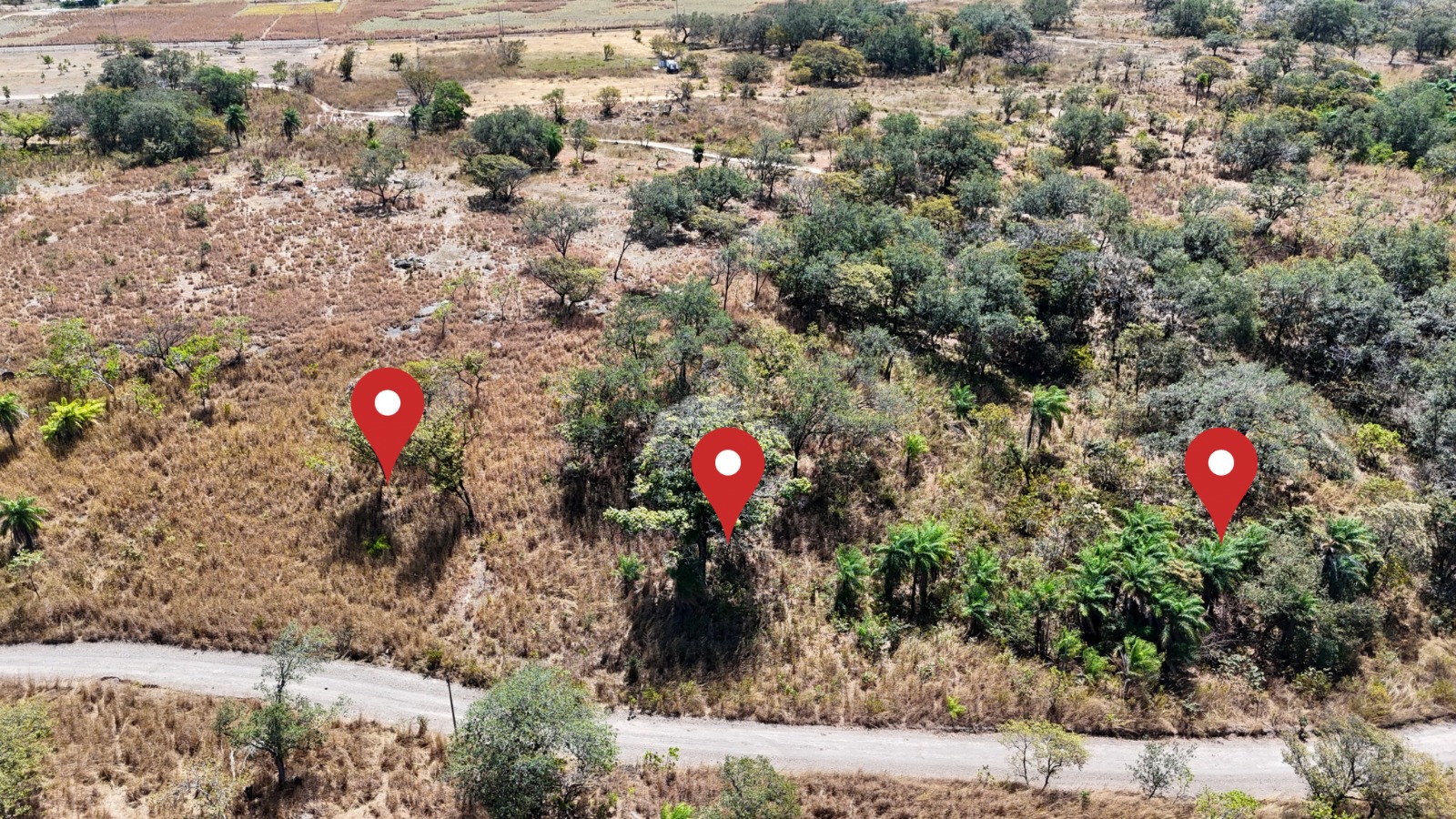 Imagen del Entorno 3