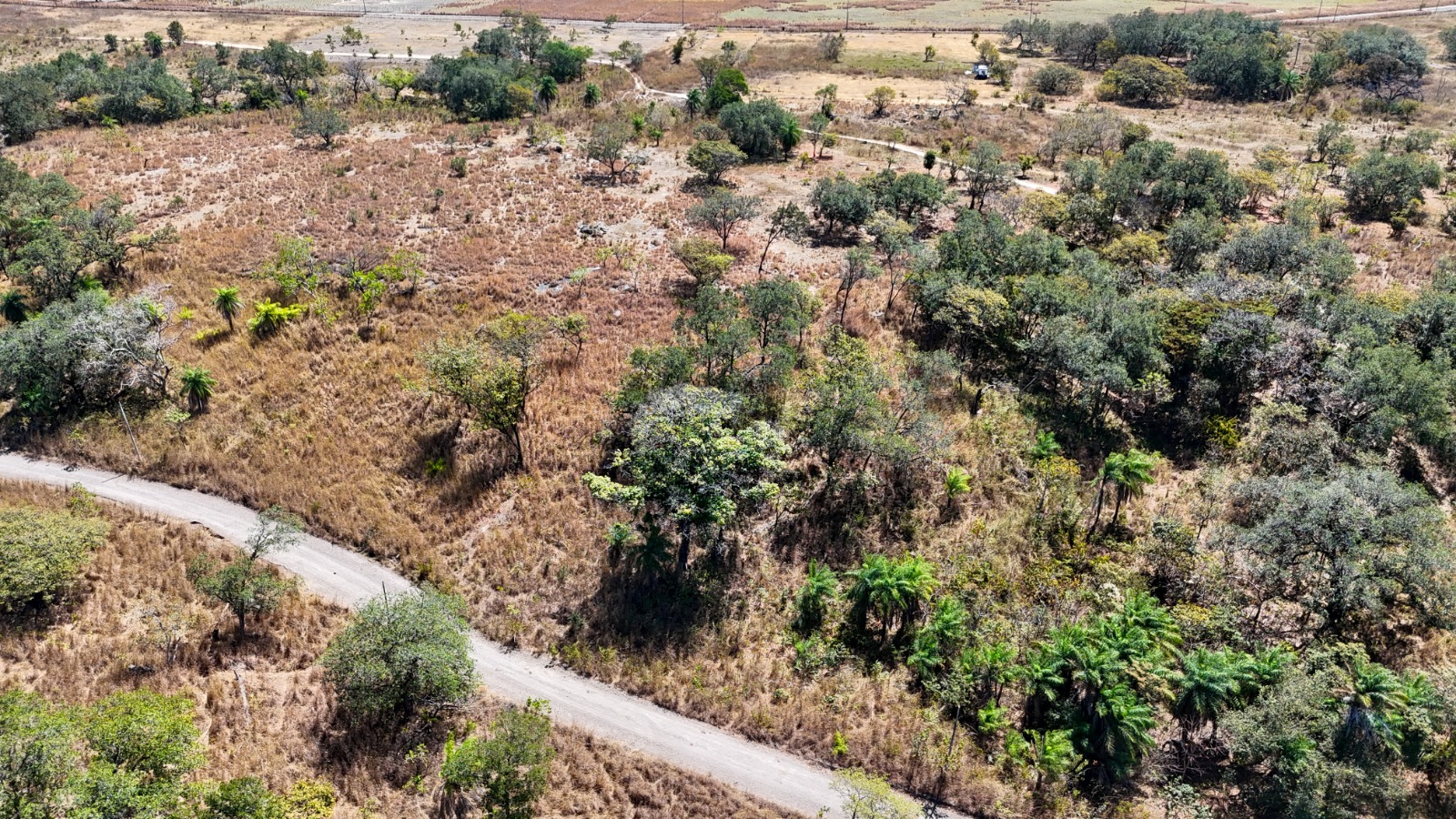 Frente a Calle Pública